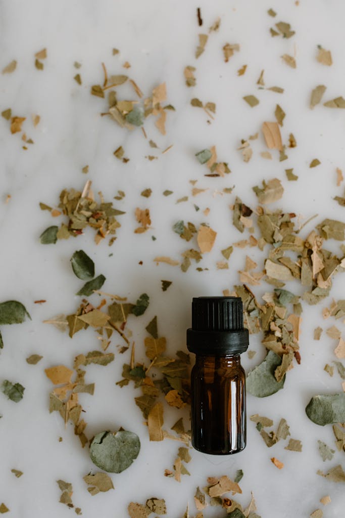 Top view of a bottle with dried eucalyptus leaves on a white background.